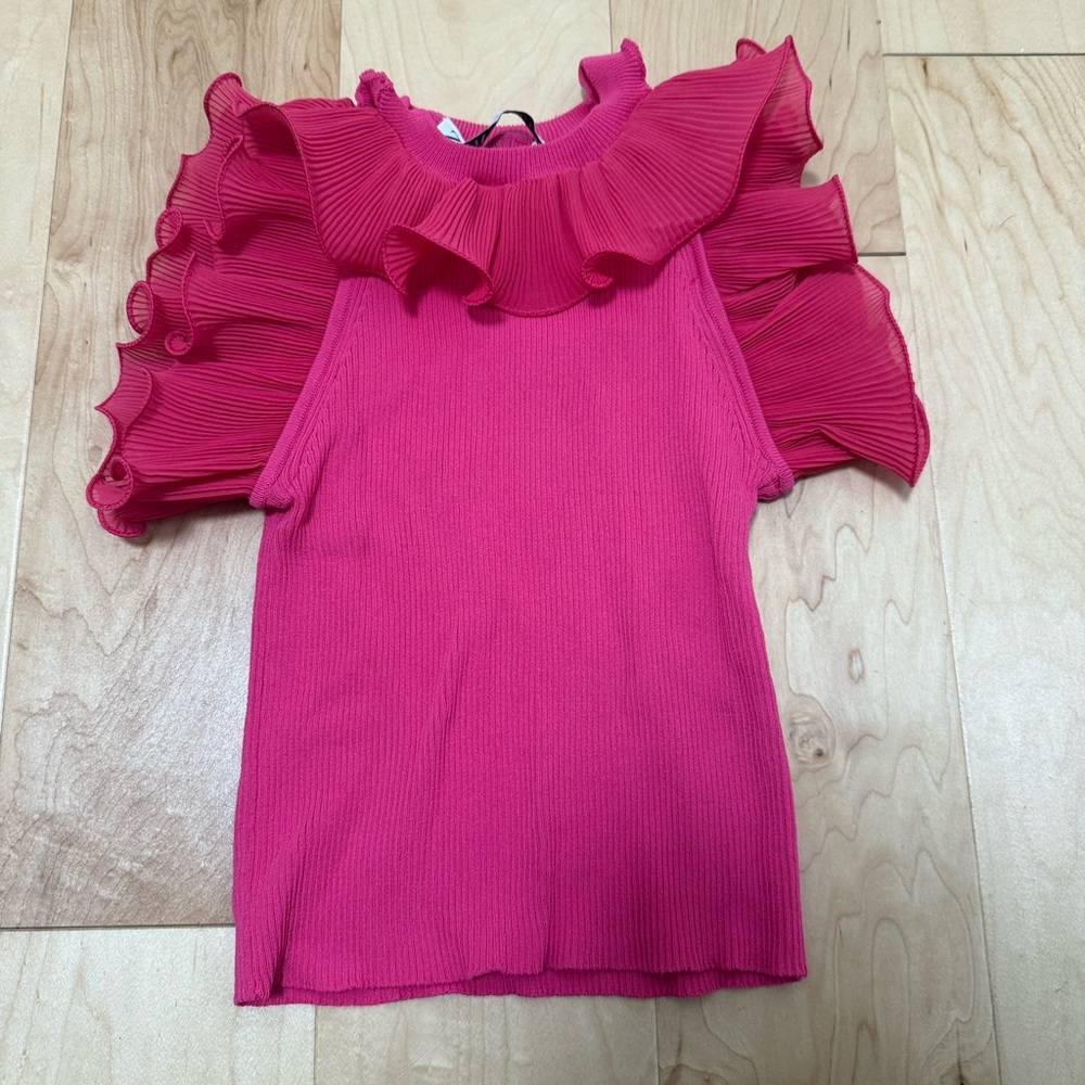 Zara Pink Ribbed Knit Top with Pleated Ruffle Neckline and Shoulders Size Small